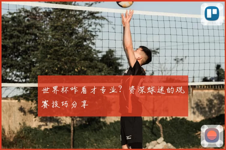 世界杯咋看才专业？资深球迷的观赛技巧分享