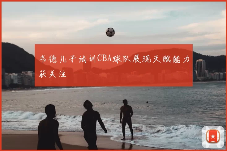 韦德儿子试训CBA球队展现天赋能力获关注