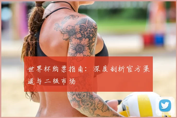 世界杯购票指南：深度剖析官方渠道与二级市场