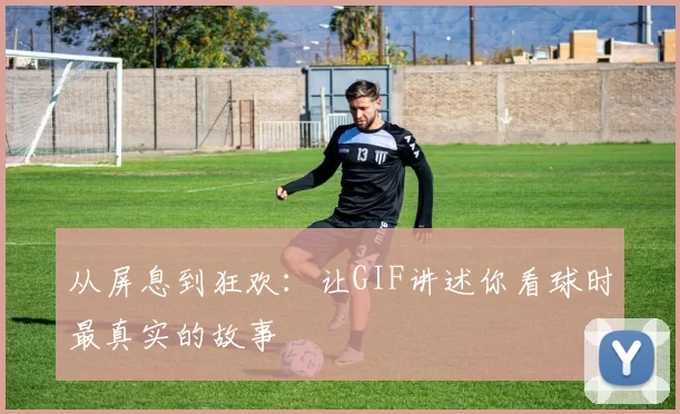 从屏息到狂欢：让GIF讲述你看球时最真实的故事