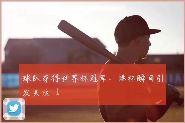 球队夺得世界杯冠军，捧杯瞬间引发关注_1