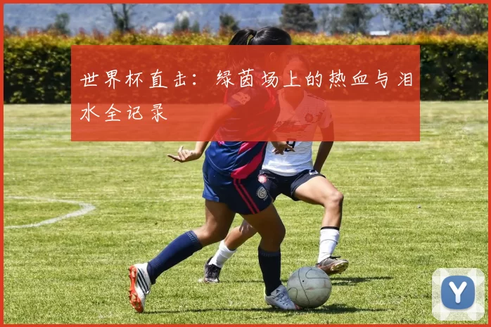 世界杯直击：绿茵场上的热血与泪水全记录