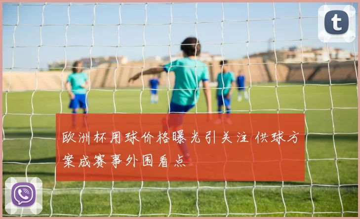 欧洲杯用球价格曝光引关注 供球方案成赛事外围看点