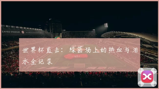 世界杯直击：绿茵场上的热血与泪水全记录